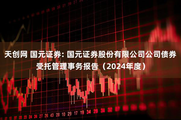 天创网 国元证券: 国元证券股份有限公司公司债券受托管理事务报告(2024年度)