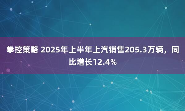 拳控策略 2025年上半年上汽销售205.3万辆，同比增长12.4%