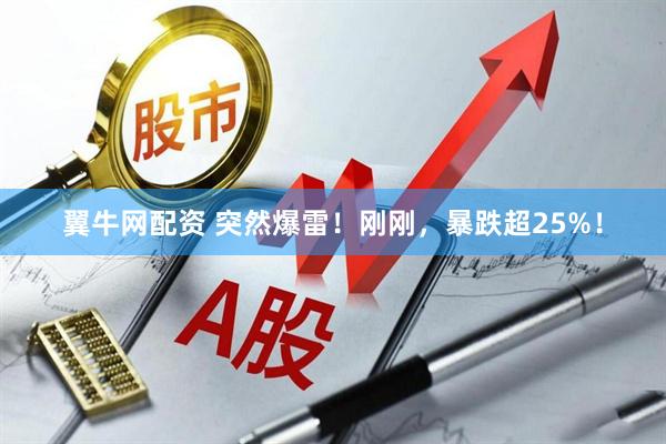 翼牛网配资 突然爆雷！刚刚，暴跌超25%！