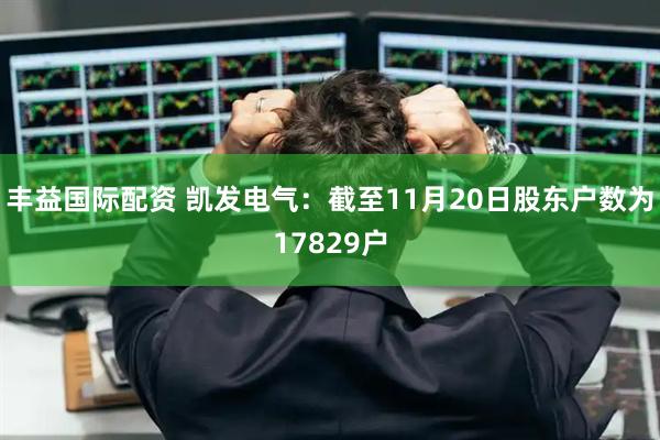 丰益国际配资 凯发电气：截至11月20日股东户数为17829户