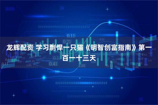 龙辉配资 学习剽悍一只猫《明智创富指南》第一百一十三天