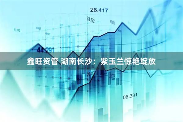 鑫旺资管 湖南长沙：紫玉兰惊艳绽放