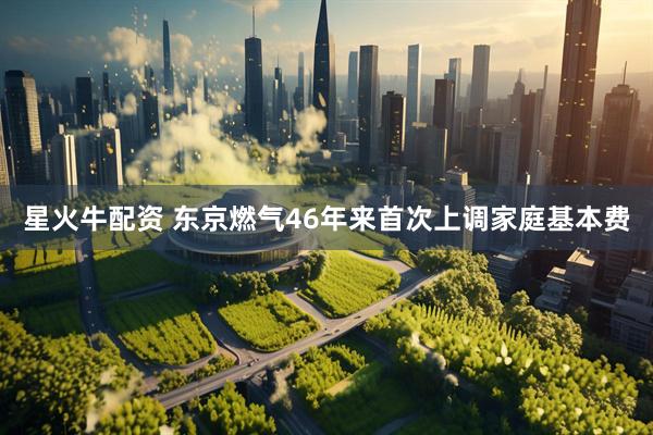 星火牛配资 东京燃气46年来首次上调家庭基本费